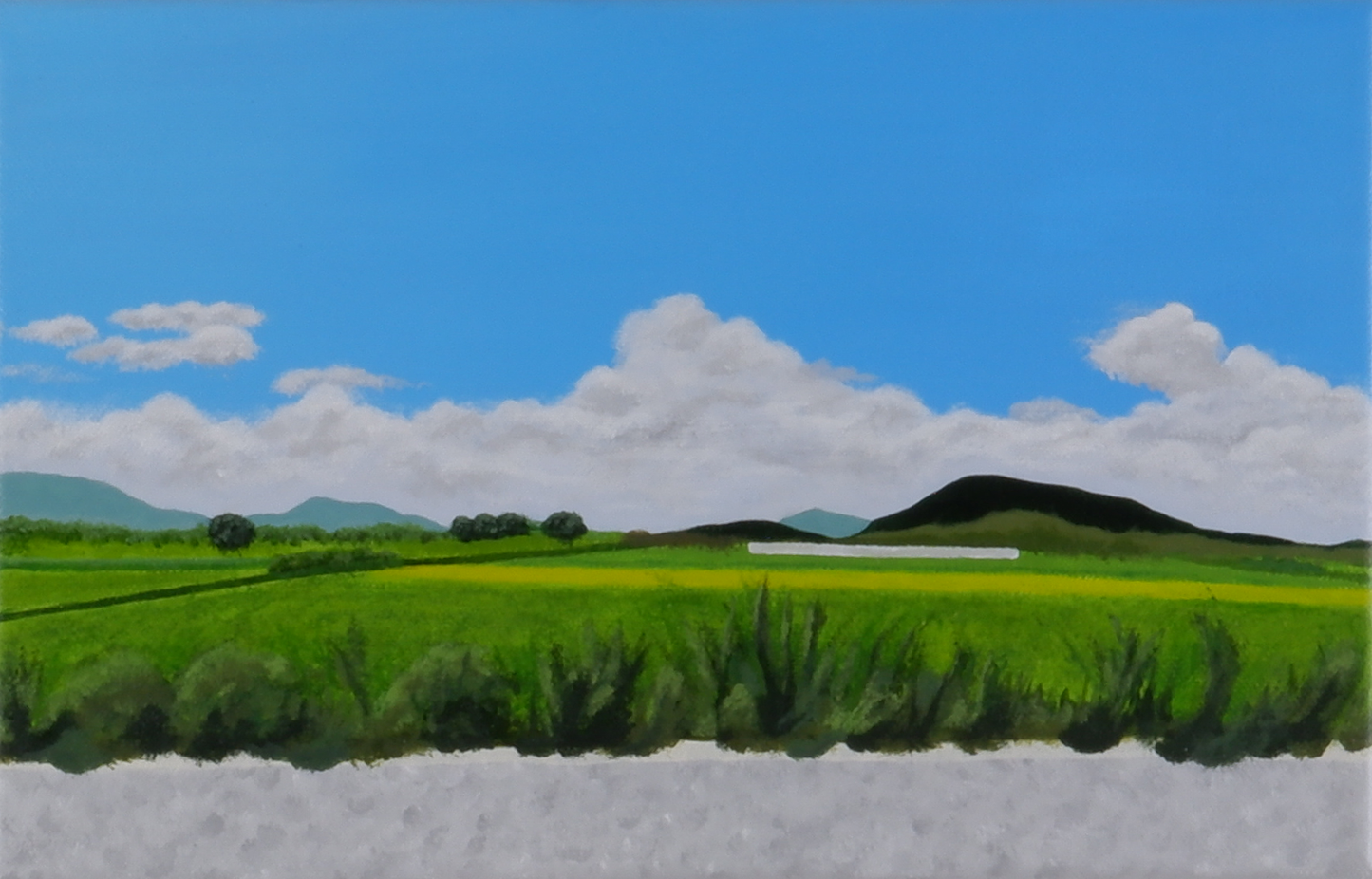 A Fleeting View