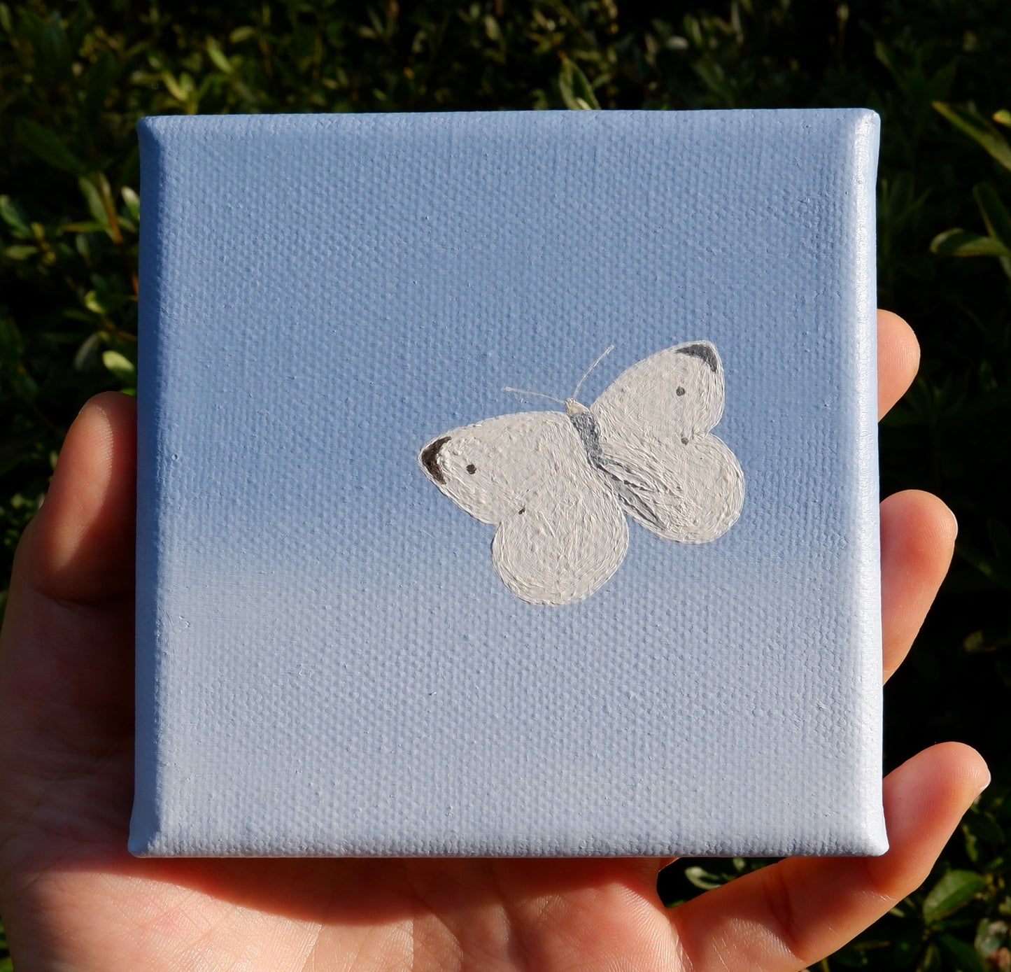 Butterfly #2