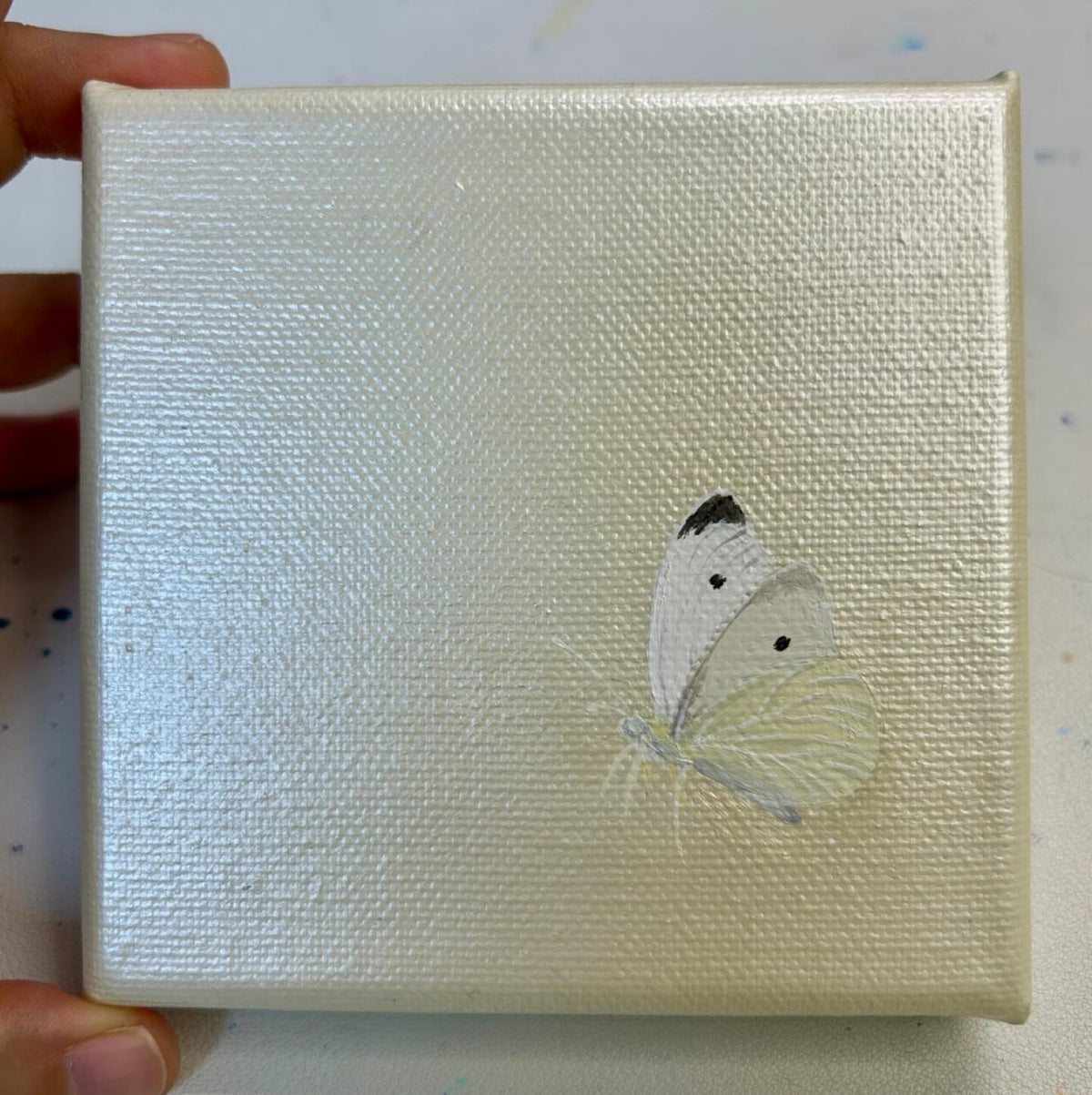 butterfly #1