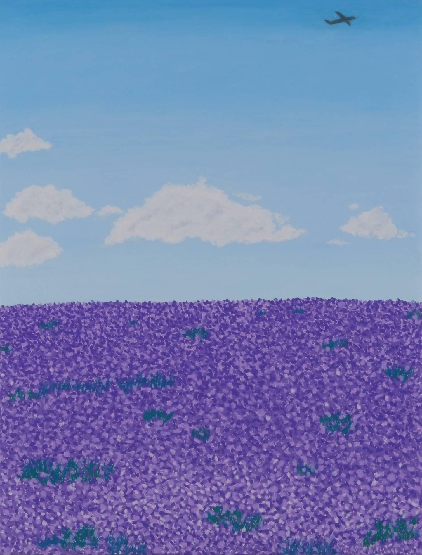 Lavender field