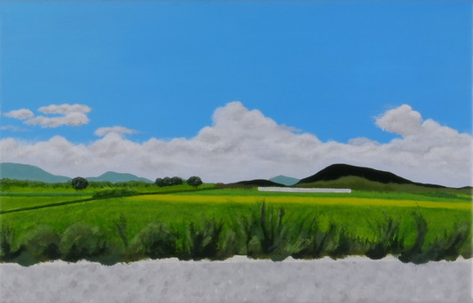 A Fleeting View