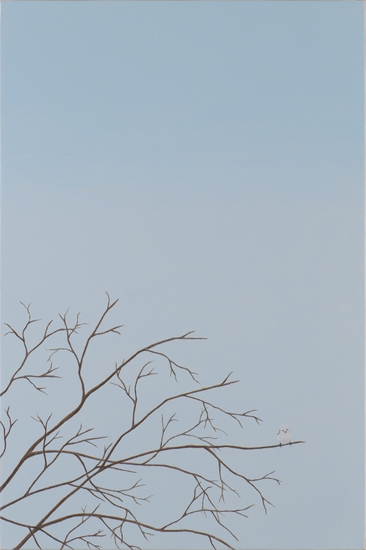 Winter Day
