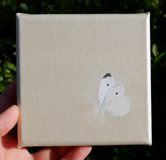 butterfly #1