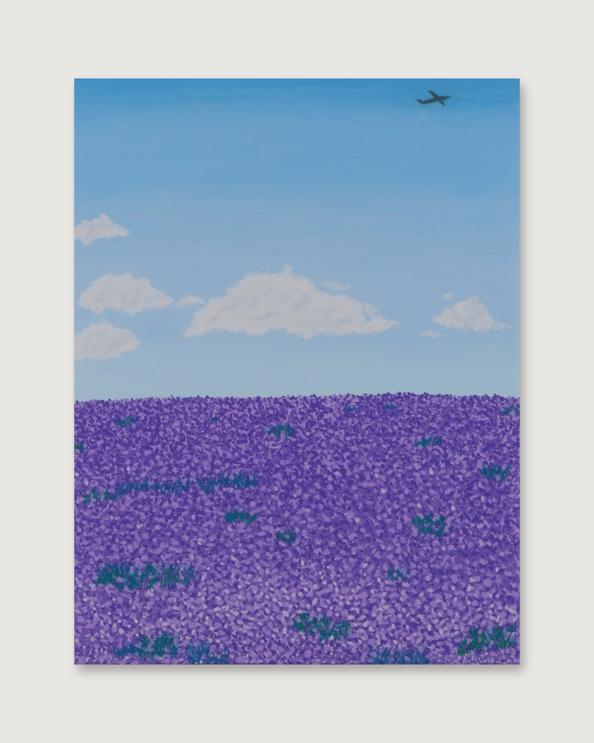 Lavender field